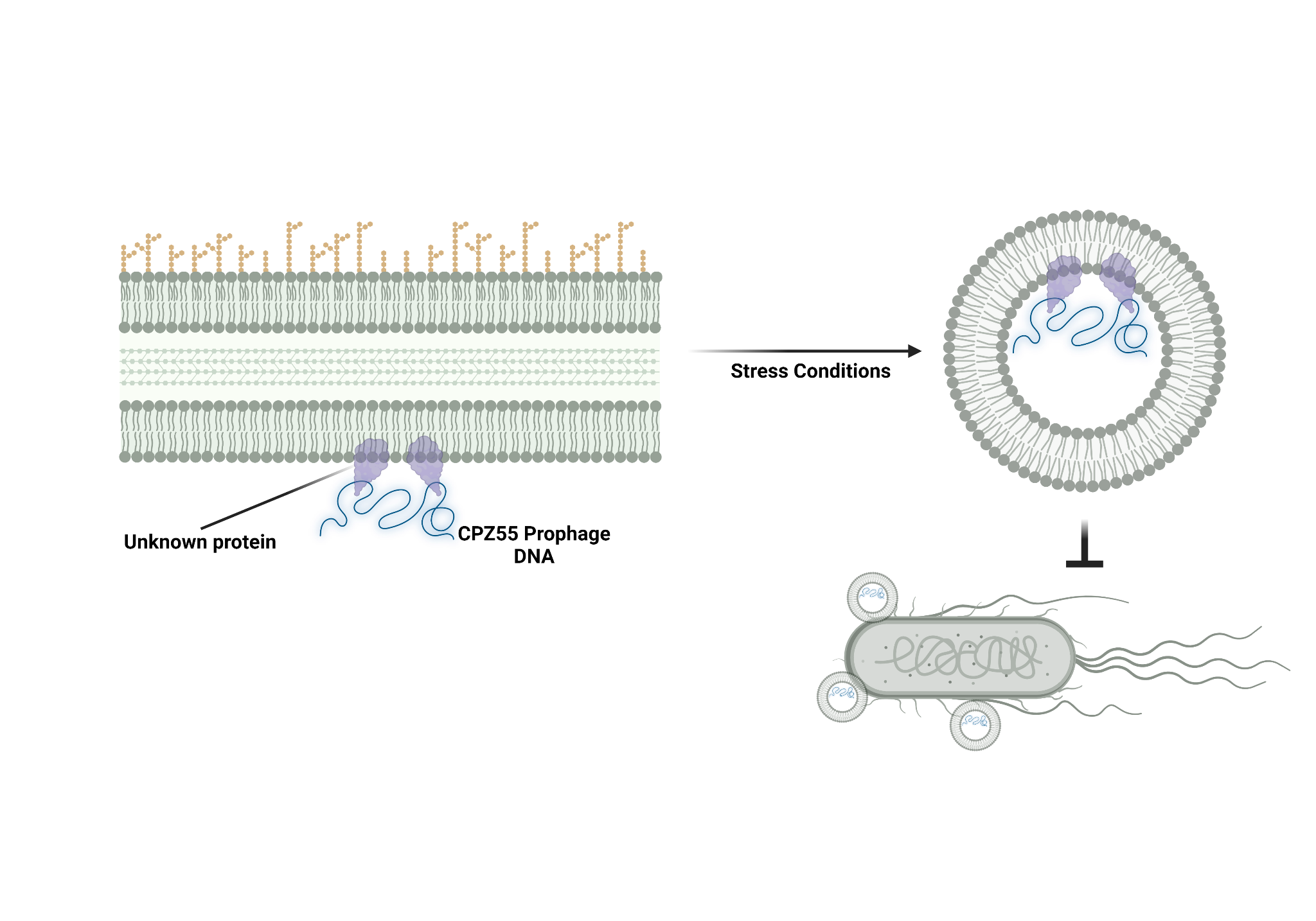 Lab Illustration 10