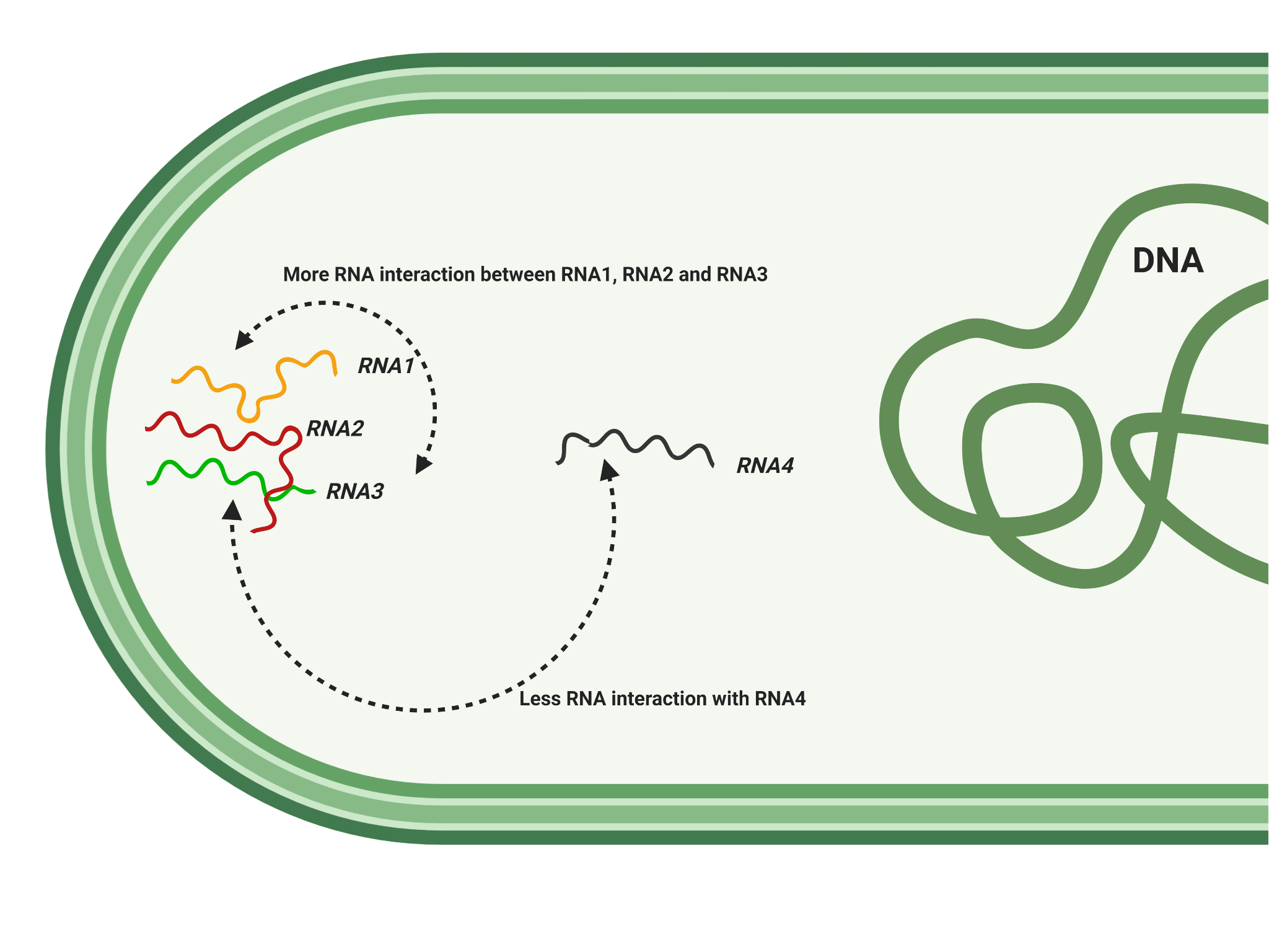 Lab Illustration 14